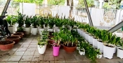 SẴN SÀNG ĐÓN HỌC TRÒ BẰNG CẢ TRÁI TIM