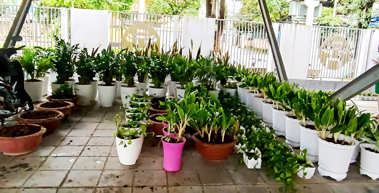 SẴN SÀNG ĐÓN HỌC TRÒ BẰNG CẢ TRÁI TIM